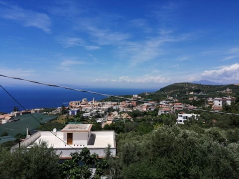 View (from property/room), City view