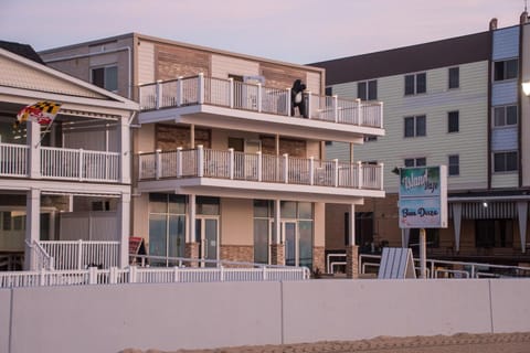 Safari Hotel Boardwalk Motel in Ocean City