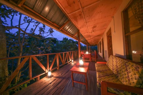Gorilla Closeup Lodge Natur-Lodge in Uganda