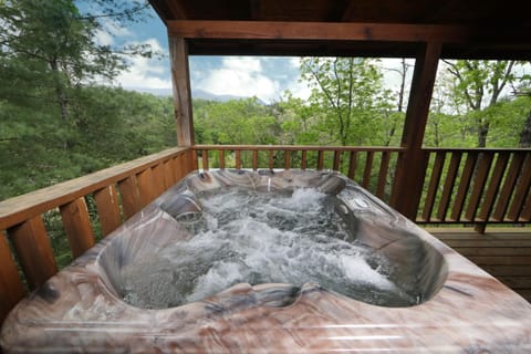 Elevated Expectations House in Sevier County