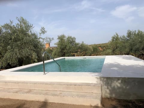 Day, Natural landscape, Pool view, Swimming pool