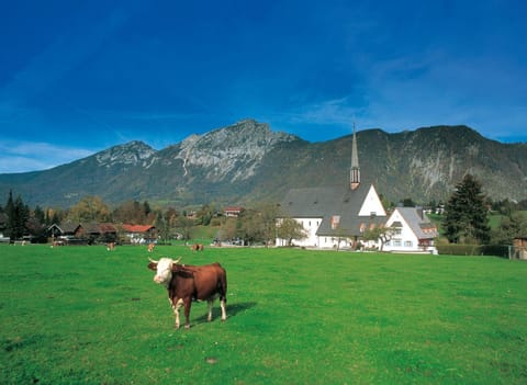 Nearby landmark, Natural landscape