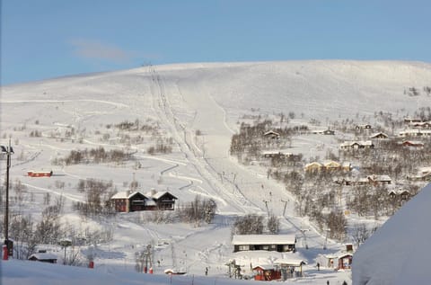 Bird's eye view, Skiing