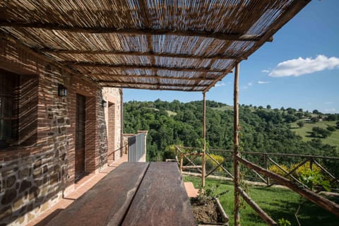 Home with a view in Scansano, Tuscany House in Tuscany