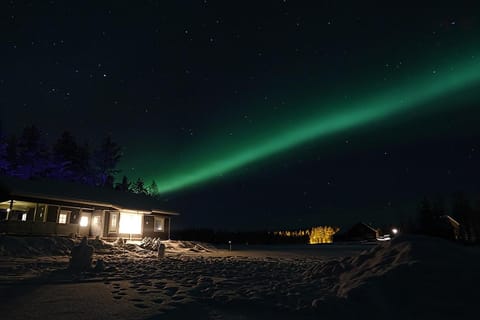 Property building, Facade/entrance, Night, Natural landscape, Winter, View (from property/room), On site, Guests, Garden view