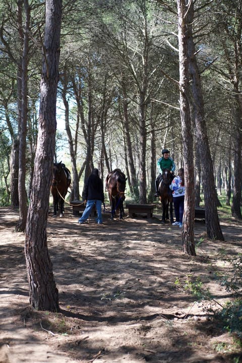 Policoro Village Hotel Campground/ 
RV Resort in Basilicata