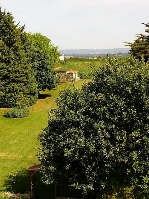 Property building, Bird's eye view