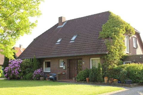 Property building, Spring, Day