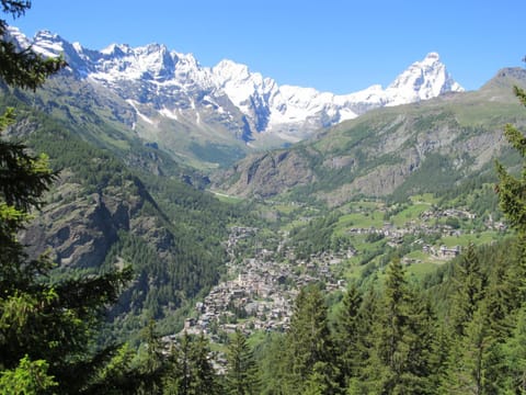 Miramonti Alojamiento y desayuno in Valtournenche