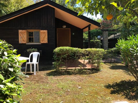 Property building, Garden view