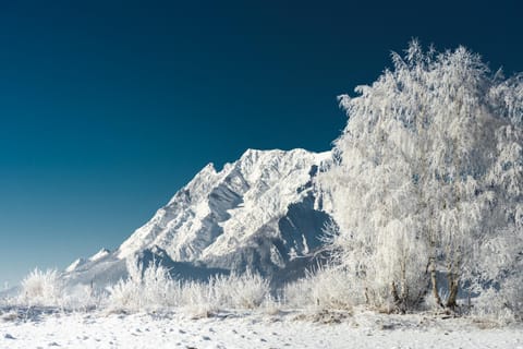 Natural landscape, Winter, Hiking