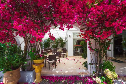 Patio, Restaurant/places to eat, Garden, Garden