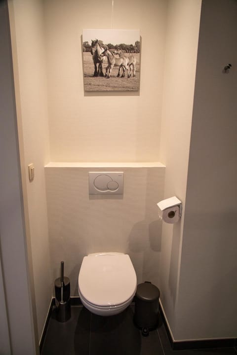 Toilet, Property building, Other, Other, Decorative detail