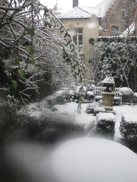 Property building, Winter, Garden