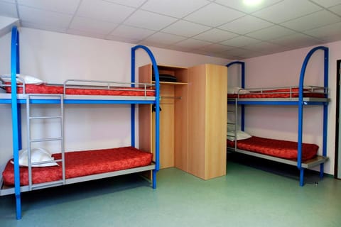 Bed, Photo of the whole room, Bedroom, bunk bed