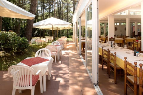 Restaurant/places to eat, Day, Garden, Garden view