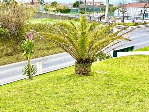 Casa Quinta das Férias House in Azores District