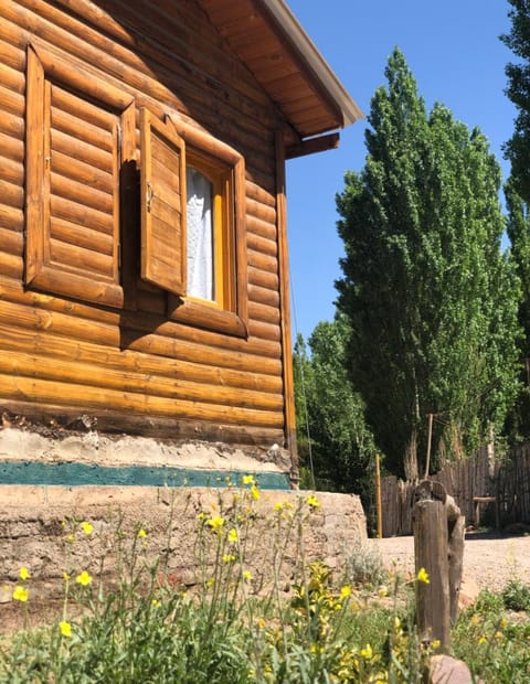 Terrazas de Uspallata Chalet in San Juan Province, Argentina