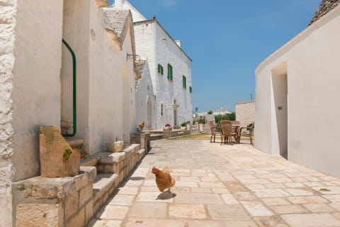 Agriturismo Masseria Aprile Farm Stay in Province of Taranto