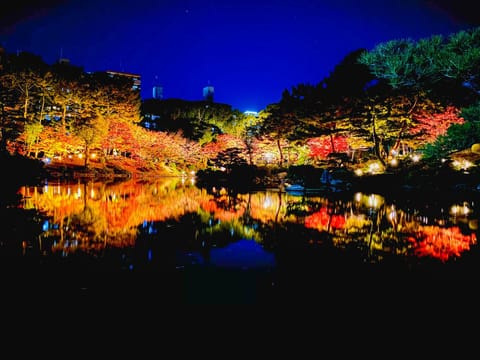 Nearby landmark, Night, Natural landscape