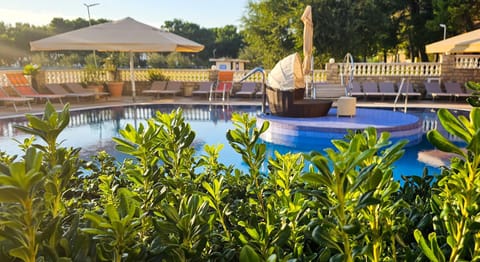 Day, Pool view, Swimming pool, sunbed