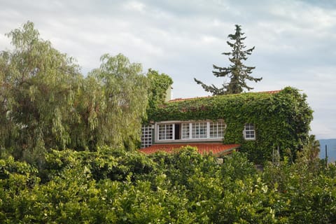 Property building, Garden