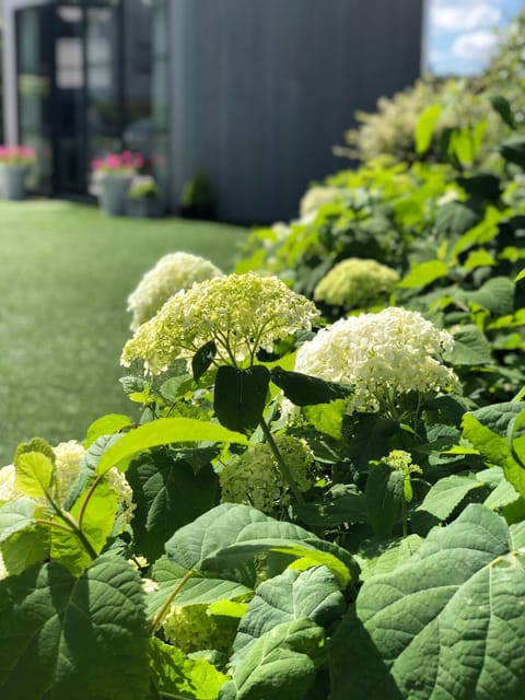 Mar y Luz House in Koksijde