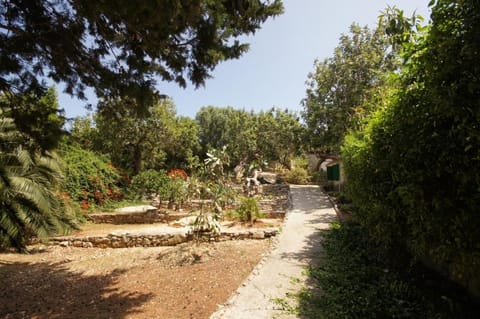 Patio, Garden, Garden view