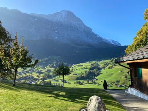 Balcony/Terrace, Mountain view