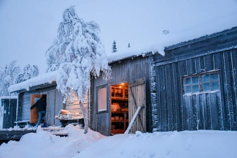 Property building, Natural landscape, Winter