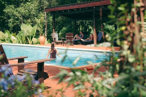 Day, People, Garden, Garden view, Pool view, Swimming pool, group of guests, sunbed