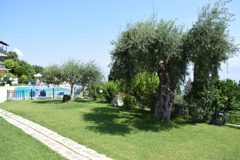 Garden, Garden view