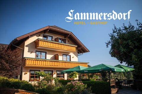 Property building, Garden, Balcony/Terrace