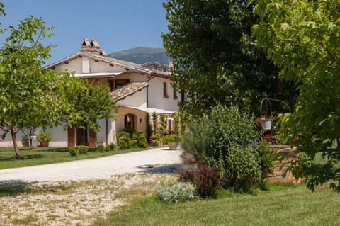 Facade/entrance, Garden view