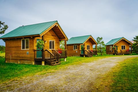 River Lodge Capanno nella natura in Island Park