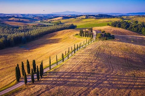 Natural landscape, Bird's eye view