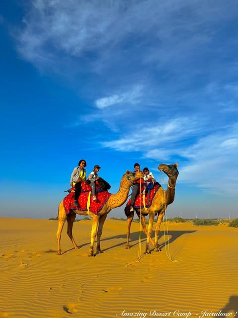 Day, People, Natural landscape, Activities, Children play ground, Evening entertainment, Animals, Time of day, Location, Sunset, group of guests