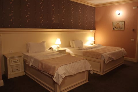 Alp Inn Hotel Hôtel in Baku
