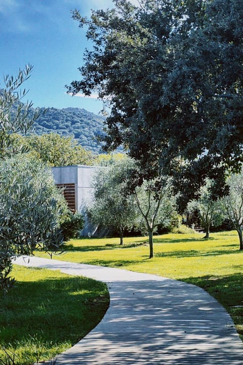 Casa Legna Nature lodge in Corsica