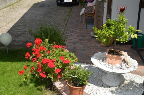 Garden, Area and facilities