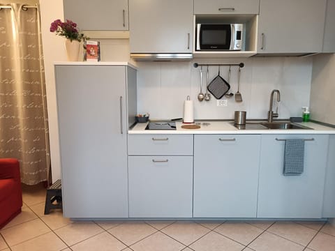 Kitchen or kitchenette, minibar, stove