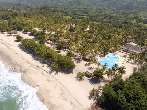 Bird's eye view, Decorative detail, Beach, Swimming pool