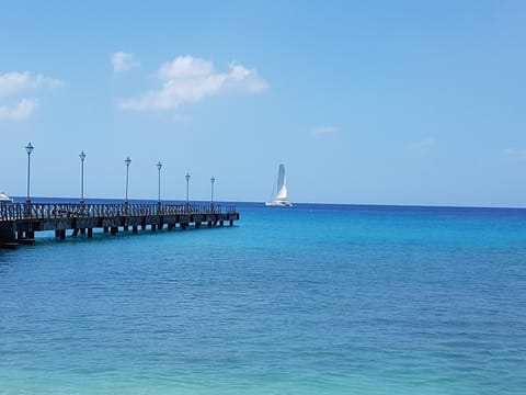 MIRI-JOY APARTMENTS Condo in Barbados