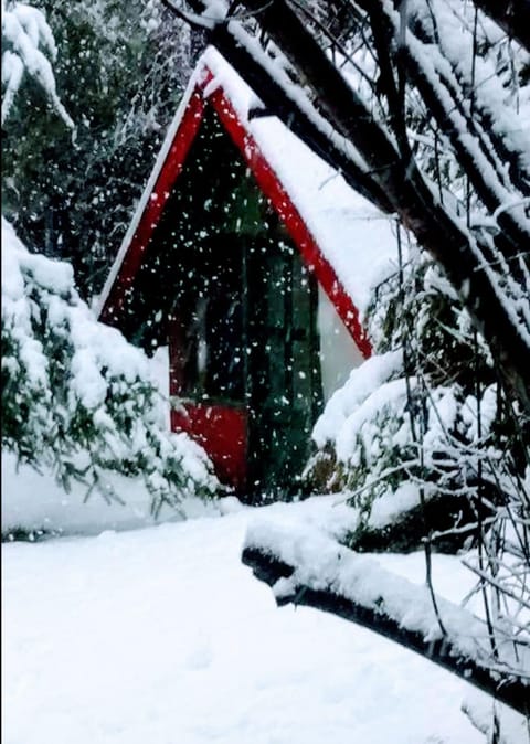 Facade/entrance, Day, Winter, Garden view