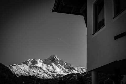 Haus Almrausch Condo in Trentino-South Tyrol