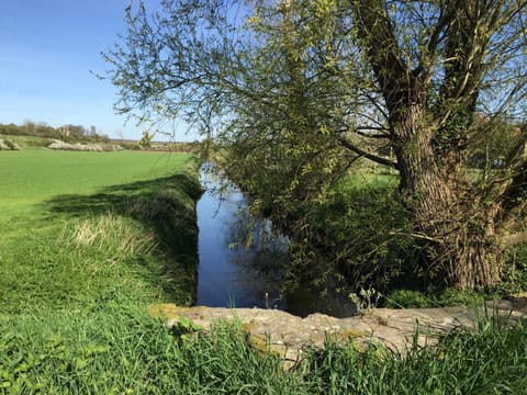 Nearby landmark, Natural landscape