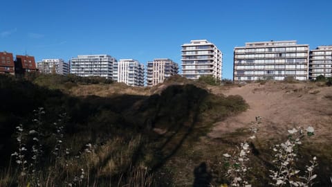 Neptunus De Panne Apartment in De Panne