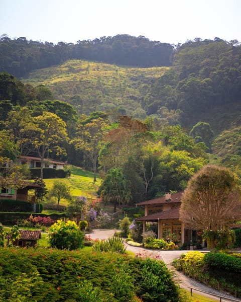 Natural landscape, Garden view, Mountain view