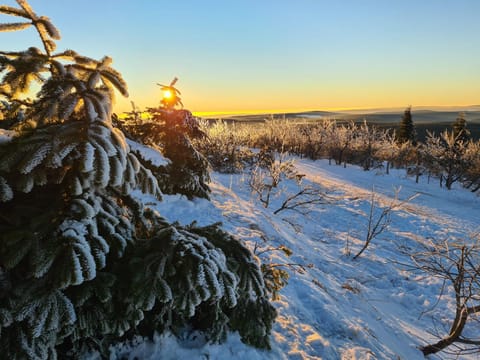 Natural landscape, Winter