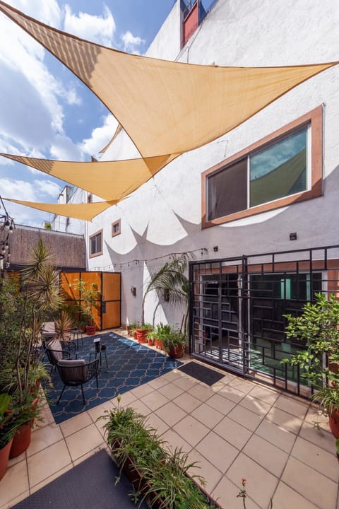 Patio, Garden, Garden view